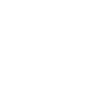 Ayurveda trifft Yoga